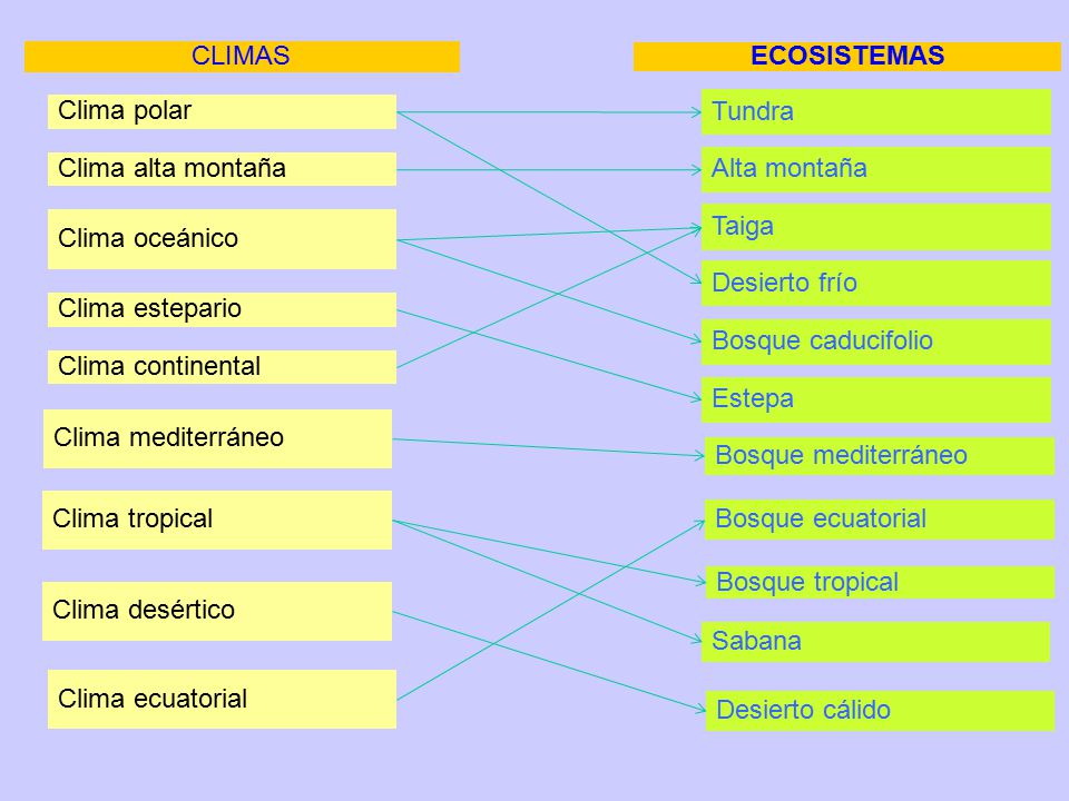 CLIMAS Clima polar. Clima alta montaña. Clima estepario. Clima oceánico. Clima continental. Clima mediterráneo.