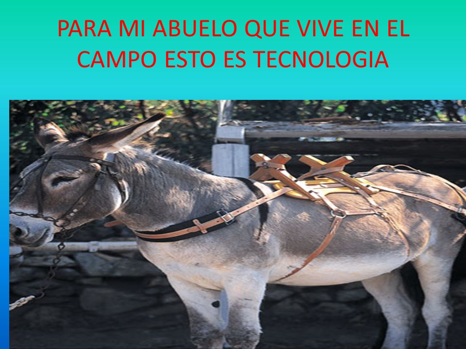 PARA MI ABUELO QUE VIVE EN EL CAMPO ESTO ES TECNOLOGIA