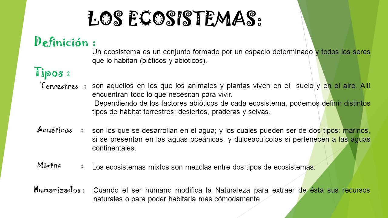 LOS ECOSISTEMAS: Definición : Tipos :