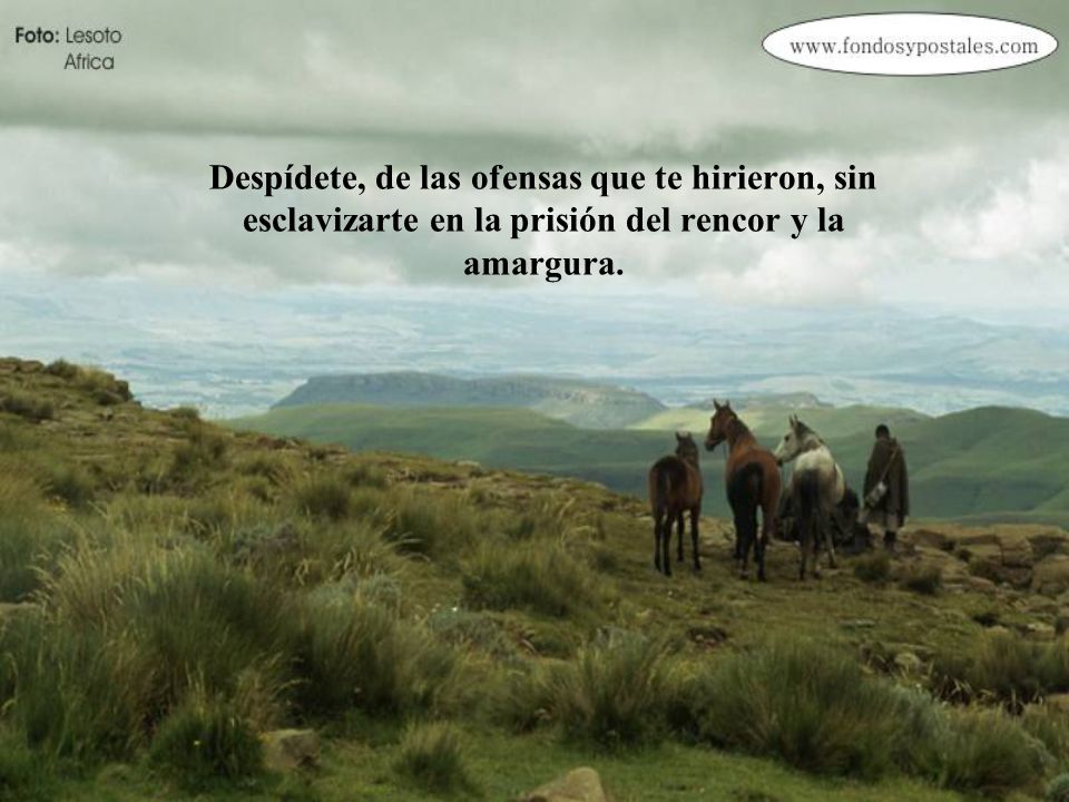 Despídete, de las ofensas que te hirieron, sin esclavizarte en la prisión del rencor y la amargura.