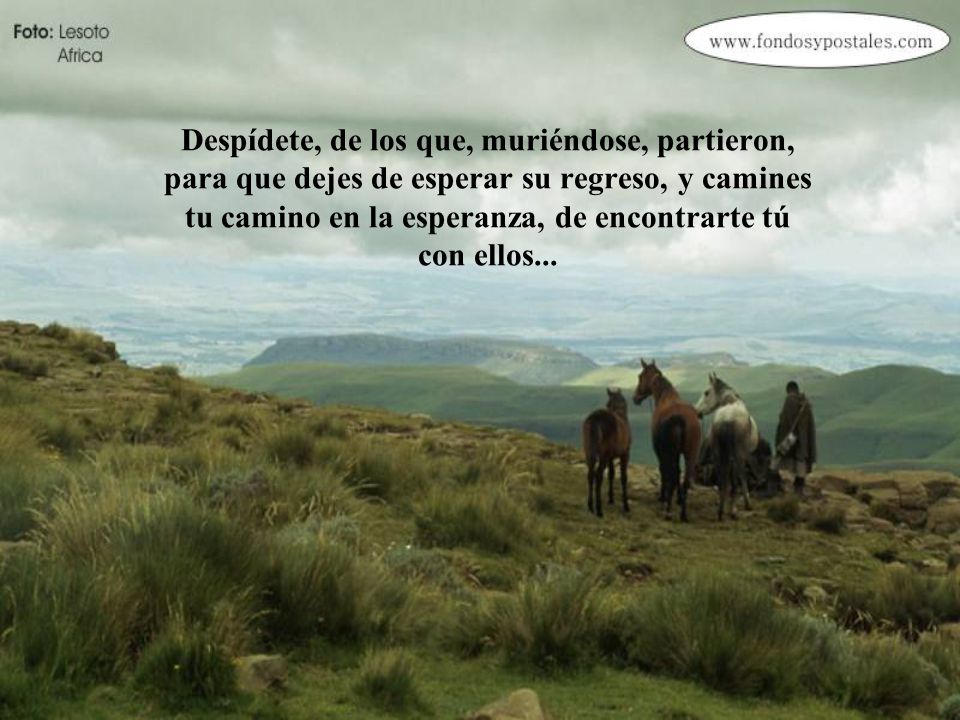 Despídete, de los que, muriéndose, partieron, para que dejes de esperar su regreso, y camines tu camino en la esperanza, de encontrarte tú con ellos...