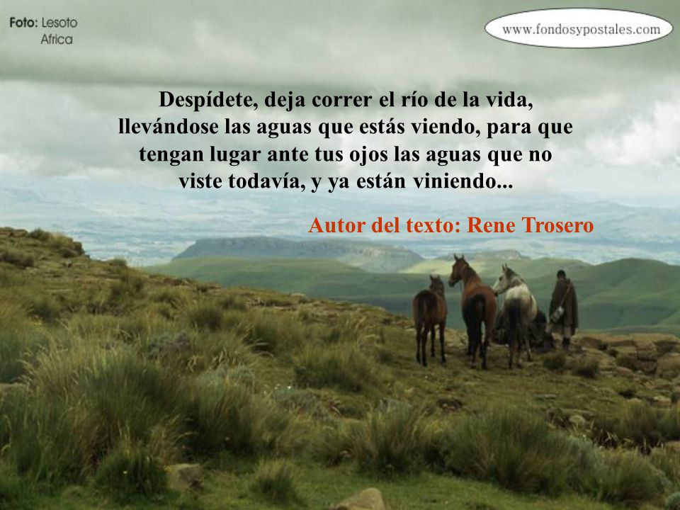 Despídete, deja correr el río de la vida, llevándose las aguas que estás viendo, para que tengan lugar ante tus ojos las aguas que no viste todavía, y ya están viniendo...