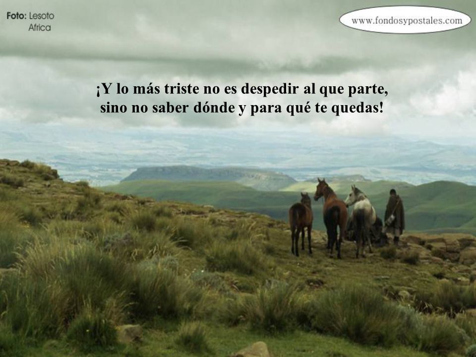 ¡Y lo más triste no es despedir al que parte, sino no saber dónde y para qué te quedas!