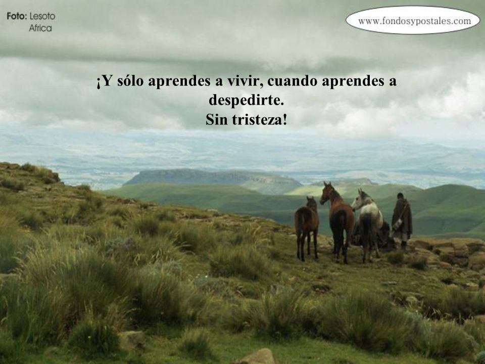 ¡Y sólo aprendes a vivir, cuando aprendes a despedirte. Sin tristeza!