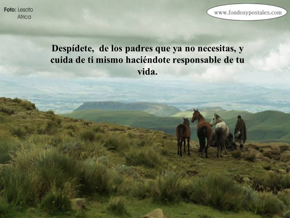Despídete, de los padres que ya no necesitas, y cuida de ti mismo haciéndote responsable de tu vida.