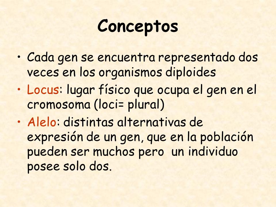 Conceptos Cada gen se encuentra representado dos veces en los organismos diploides.