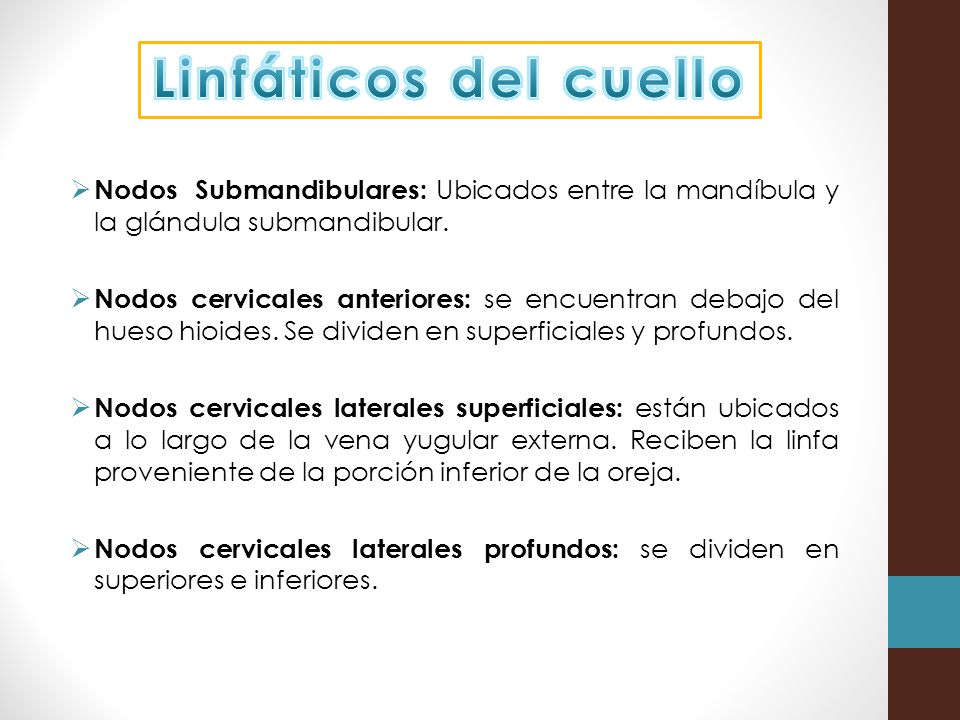 Linfáticos del cuello Nodos Submandibulares: Ubicados entre la mandíbula y la glándula submandibular.