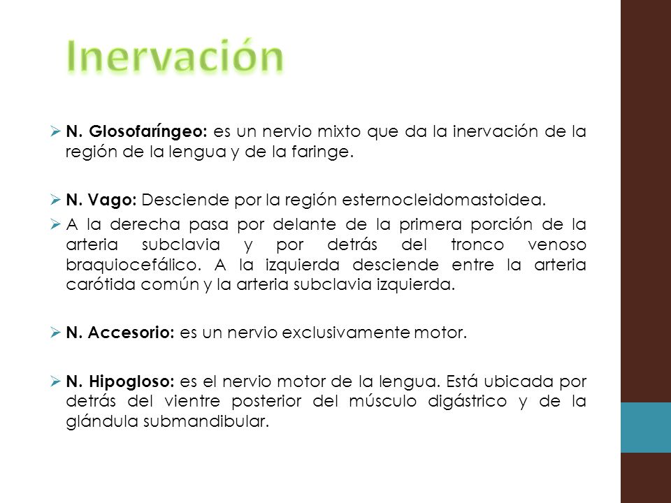 Inervación N. Glosofaríngeo: es un nervio mixto que da la inervación de la región de la lengua y de la faringe.