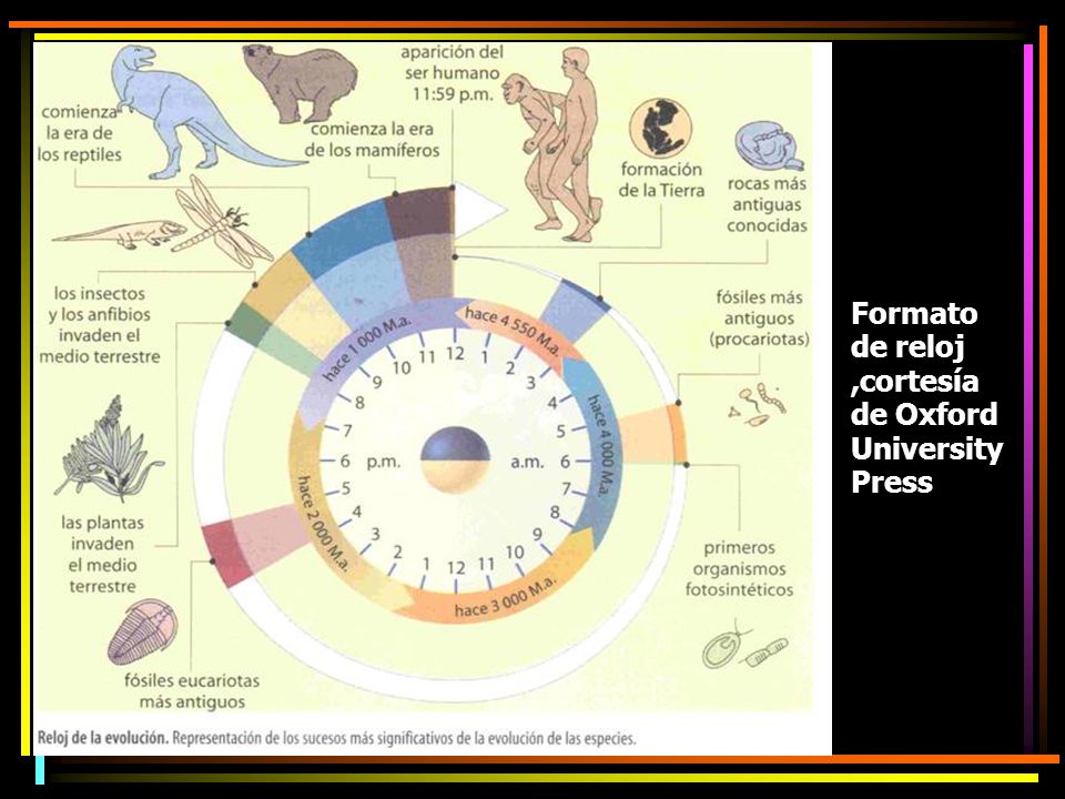 Formato de reloj ,cortesía de Oxford University Press