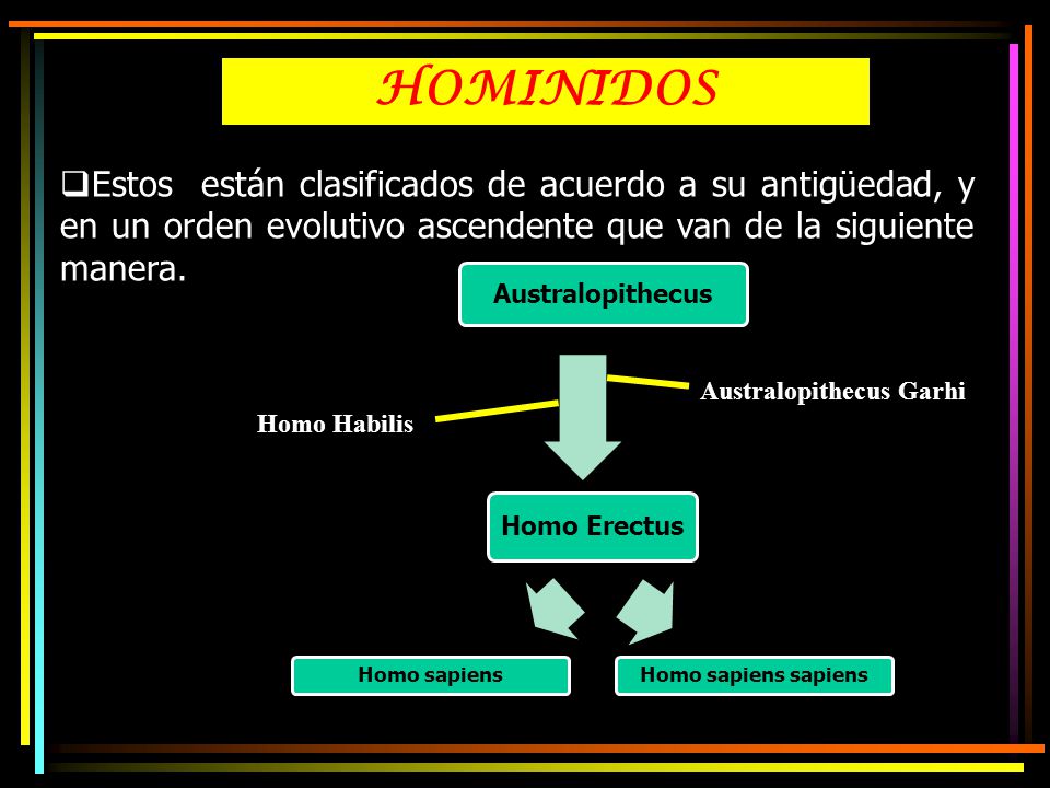 HOMINIDOS Estos están clasificados de acuerdo a su antigüedad, y en un orden evolutivo ascendente que van de la siguiente manera.