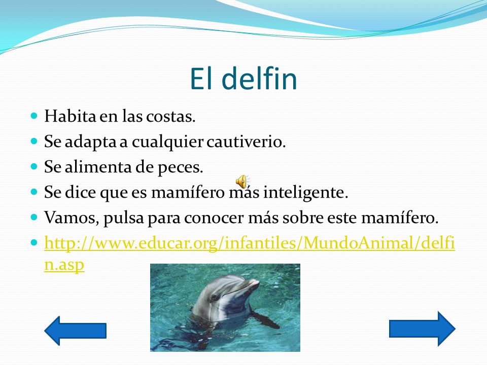 El delfin Habita en las costas. Se adapta a cualquier cautiverio.
