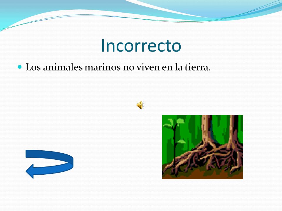 Incorrecto Los animales marinos no viven en la tierra.