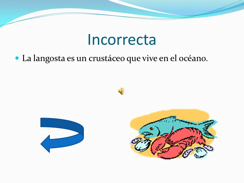 Incorrecta La langosta es un crustáceo que vive en el océano.