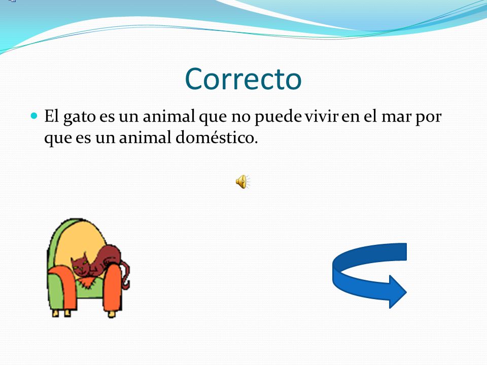 Correcto El gato es un animal que no puede vivir en el mar por que es un animal doméstico.