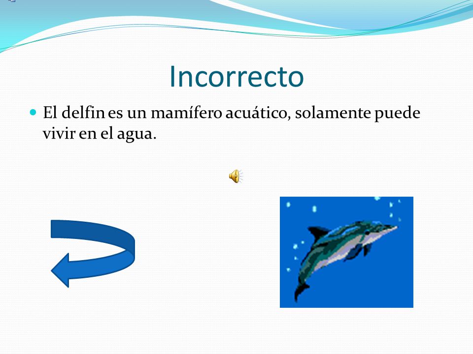 Incorrecto El delfin es un mamífero acuático, solamente puede vivir en el agua.