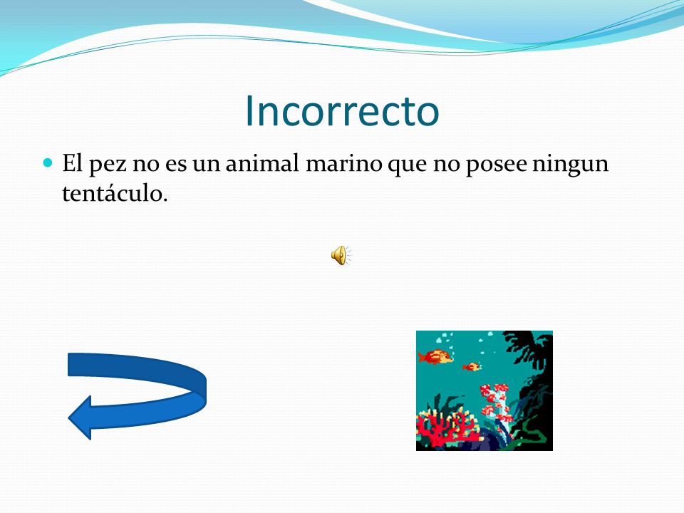 Incorrecto El pez no es un animal marino que no posee ningun tentáculo.