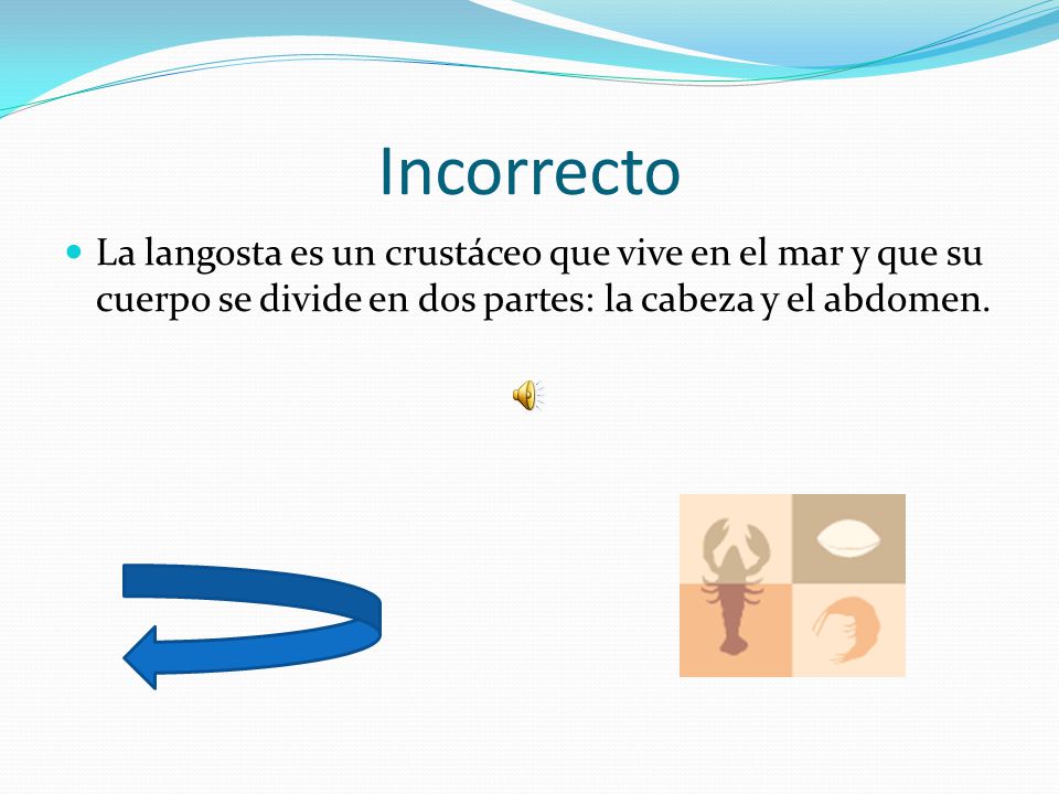 Incorrecto La langosta es un crustáceo que vive en el mar y que su cuerpo se divide en dos partes: la cabeza y el abdomen.