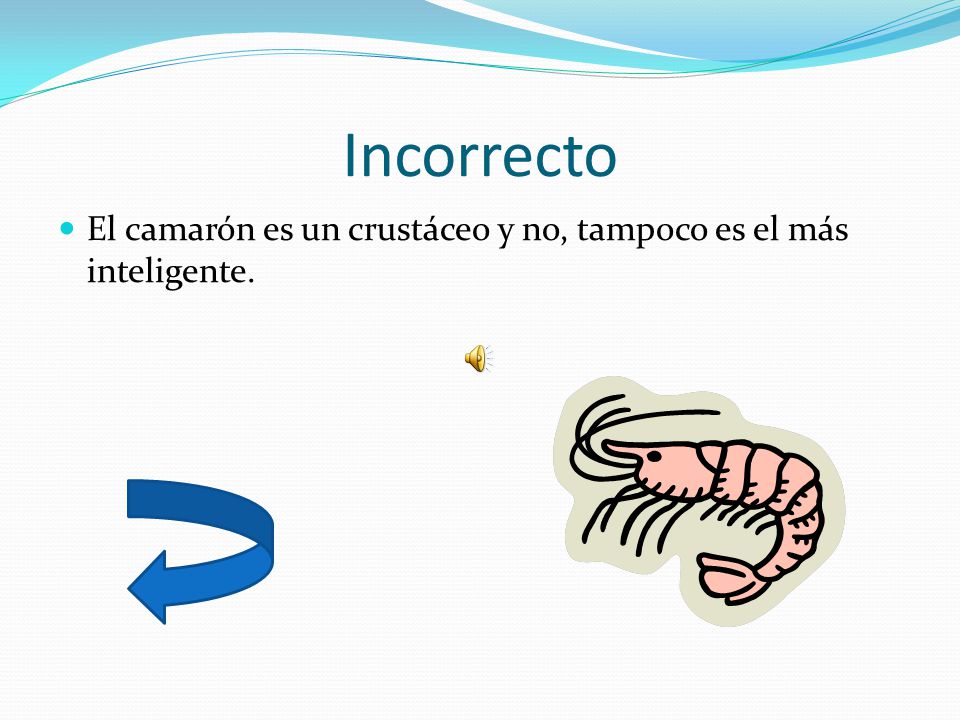 Incorrecto El camarón es un crustáceo y no, tampoco es el más inteligente.