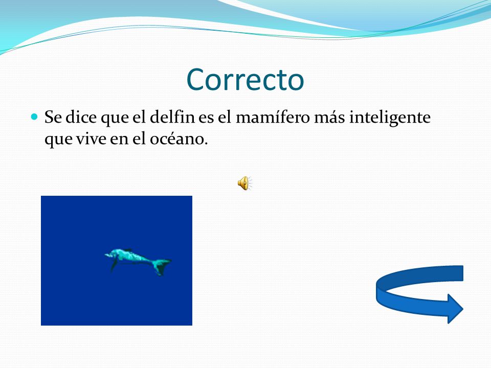 Correcto Se dice que el delfin es el mamífero más inteligente que vive en el océano.