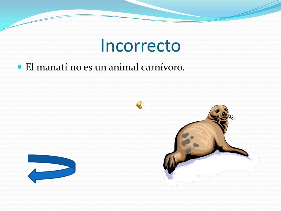 Incorrecto El manatí no es un animal carnívoro.