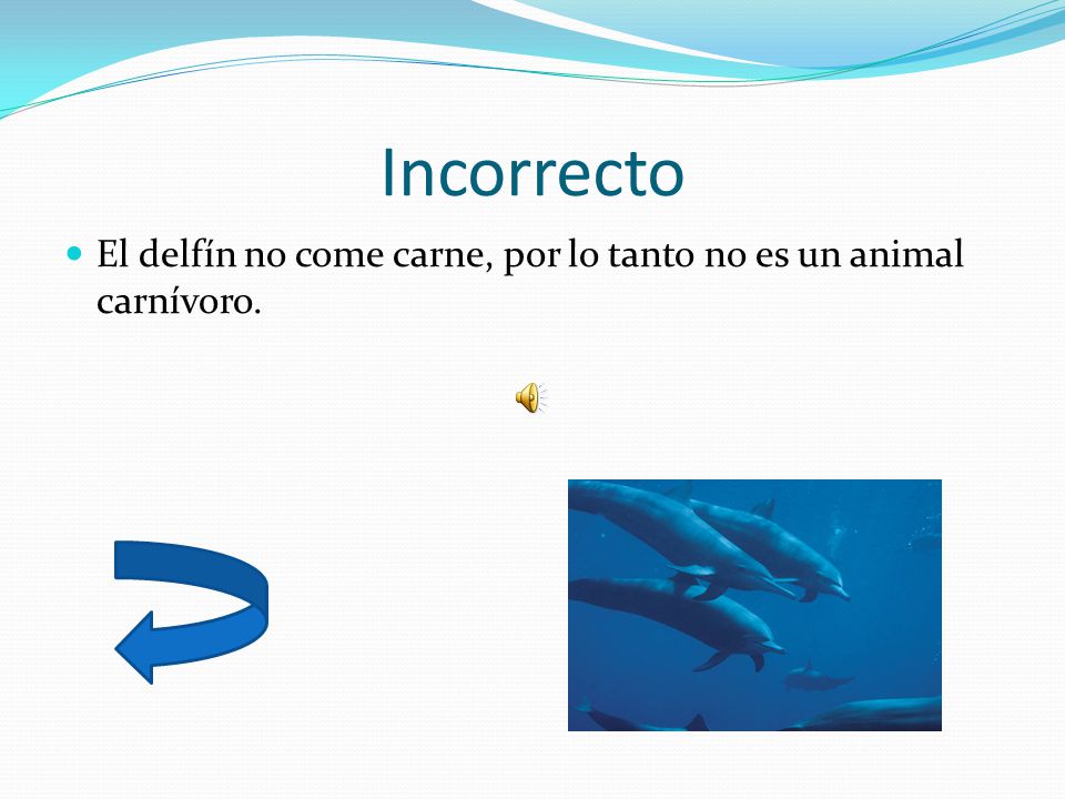 Incorrecto El delfín no come carne, por lo tanto no es un animal carnívoro.