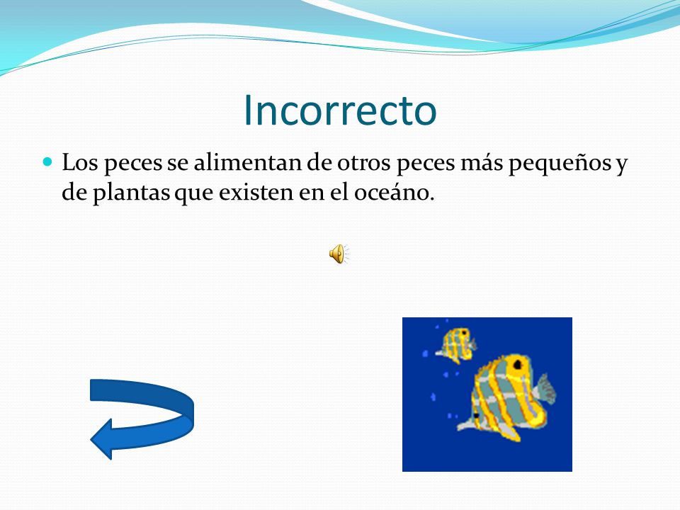Incorrecto Los peces se alimentan de otros peces más pequeños y de plantas que existen en el oceáno.