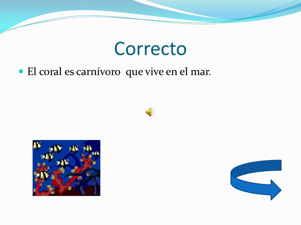 Correcto El coral es carnívoro que vive en el mar.