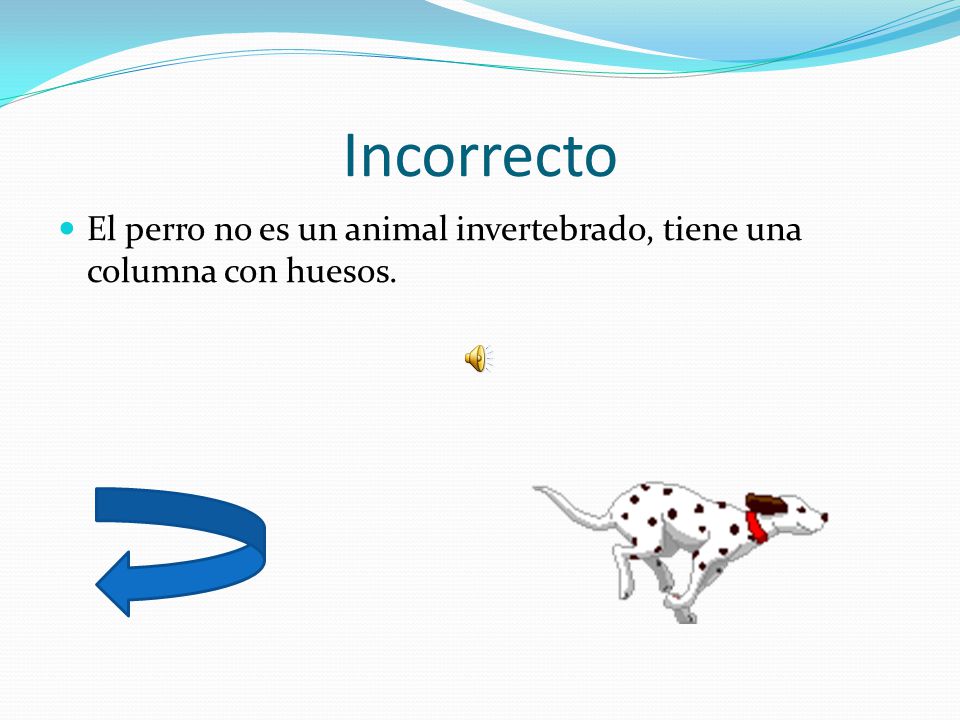 Incorrecto El perro no es un animal invertebrado, tiene una columna con huesos.