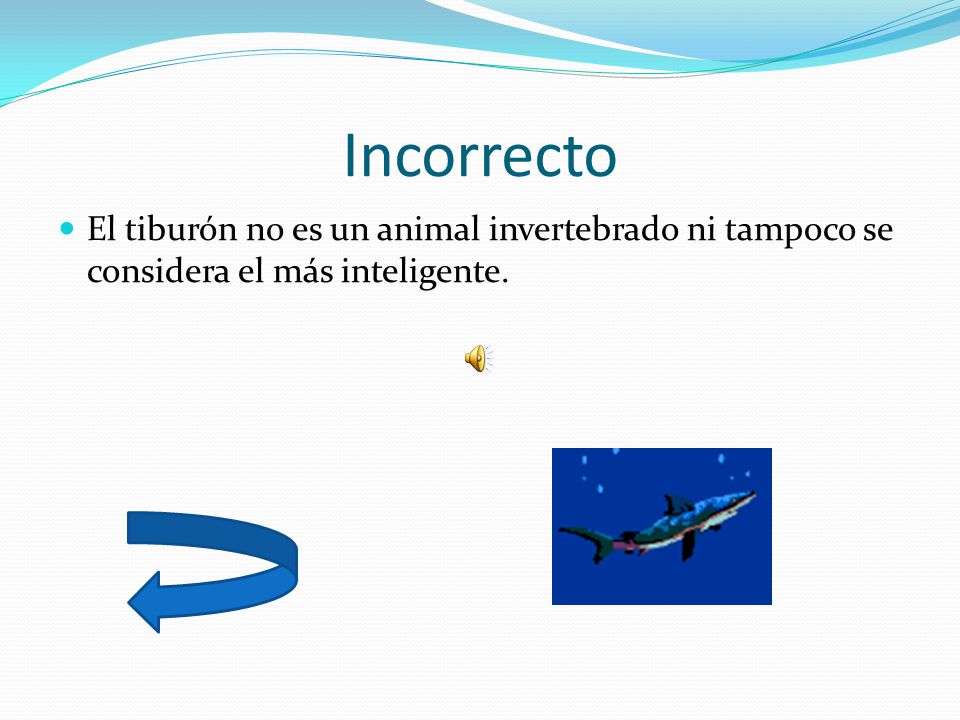 Incorrecto El tiburón no es un animal invertebrado ni tampoco se considera el más inteligente.
