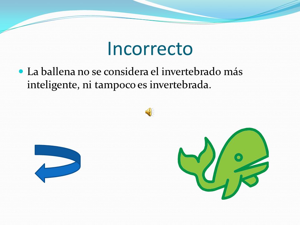 Incorrecto La ballena no se considera el invertebrado más inteligente, ni tampoco es invertebrada.