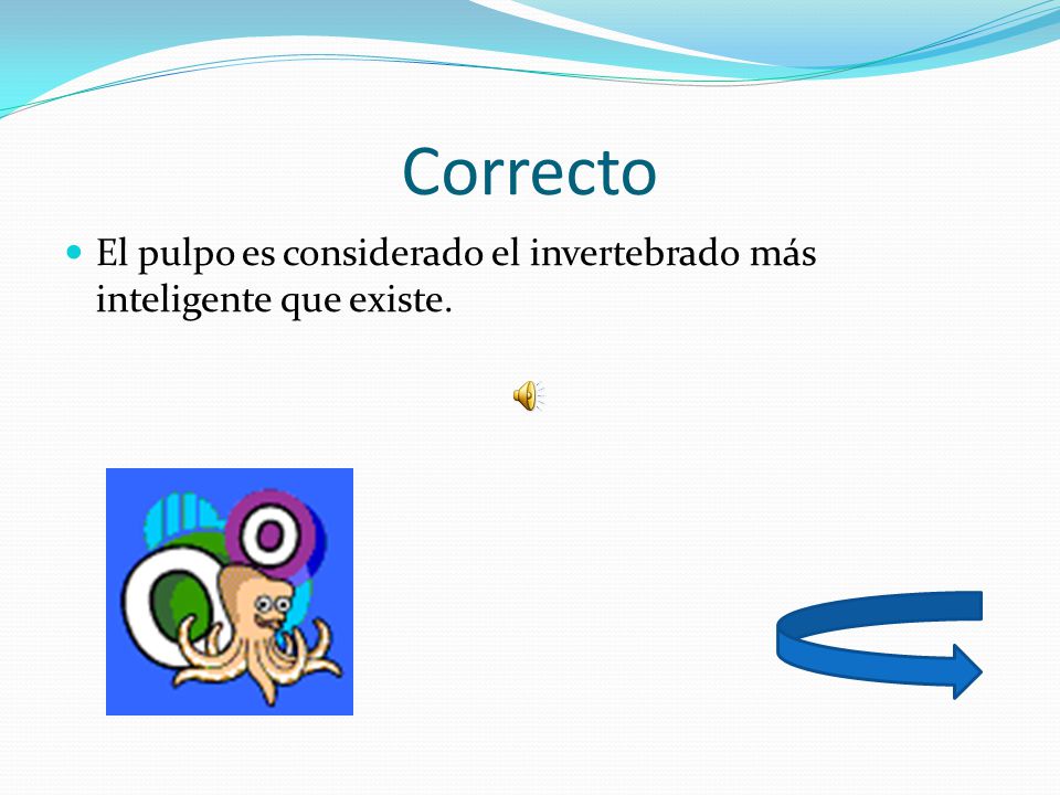 Correcto El pulpo es considerado el invertebrado más inteligente que existe.