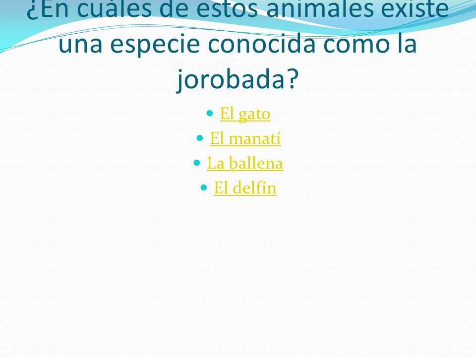 ¿En cuáles de estos animales existe una especie conocida como la jorobada