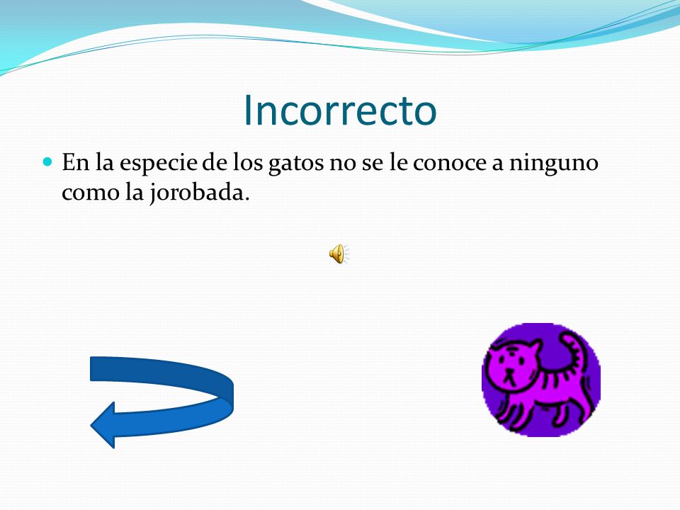 Incorrecto En la especie de los gatos no se le conoce a ninguno como la jorobada.