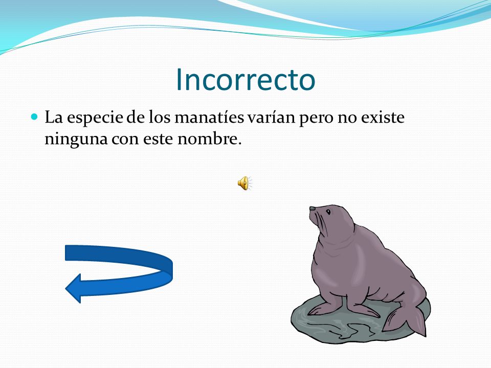 Incorrecto La especie de los manatíes varían pero no existe ninguna con este nombre.