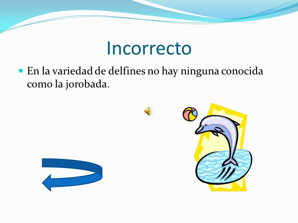 Incorrecto En la variedad de delfines no hay ninguna conocida como la jorobada.