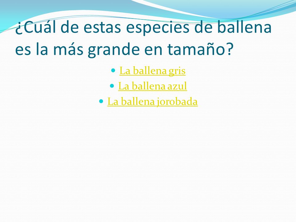 ¿Cuál de estas especies de ballena es la más grande en tamaño
