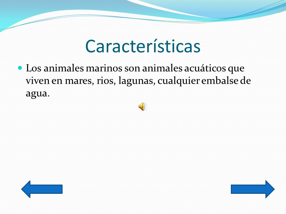 Características Los animales marinos son animales acuáticos que viven en mares, rios, lagunas, cualquier embalse de agua.