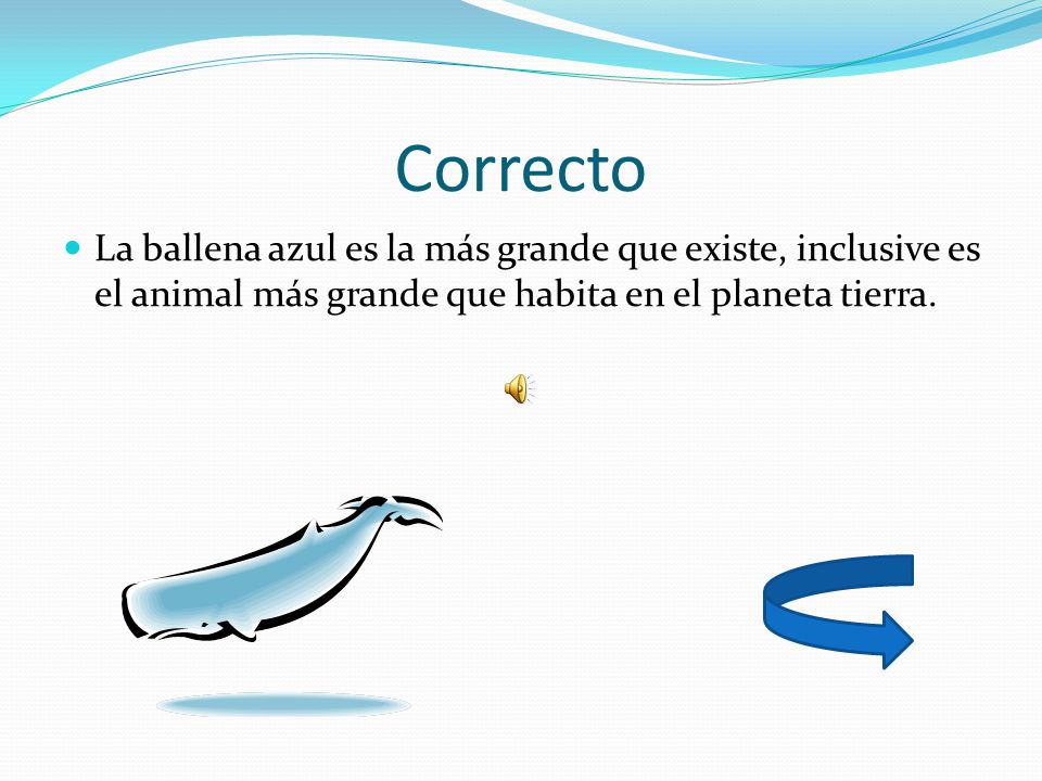 Correcto La ballena azul es la más grande que existe, inclusive es el animal más grande que habita en el planeta tierra.