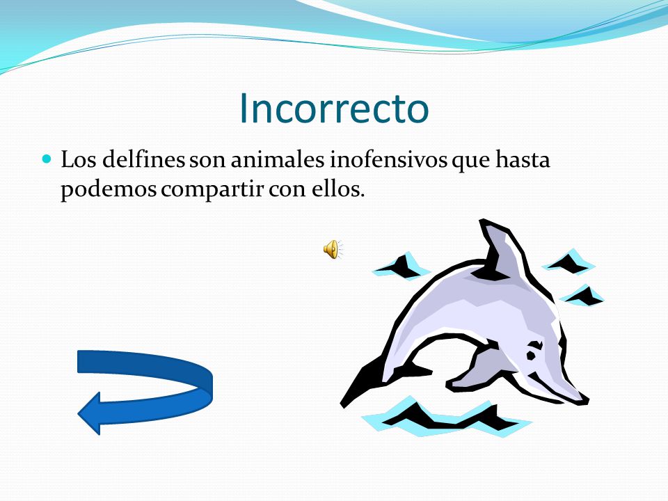 Incorrecto Los delfines son animales inofensivos que hasta podemos compartir con ellos.