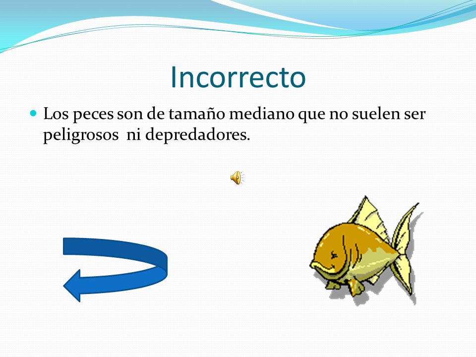 Incorrecto Los peces son de tamaño mediano que no suelen ser peligrosos ni depredadores.