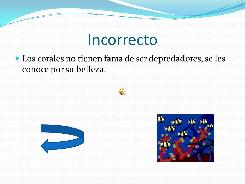 Incorrecto Los corales no tienen fama de ser depredadores, se les conoce por su belleza.