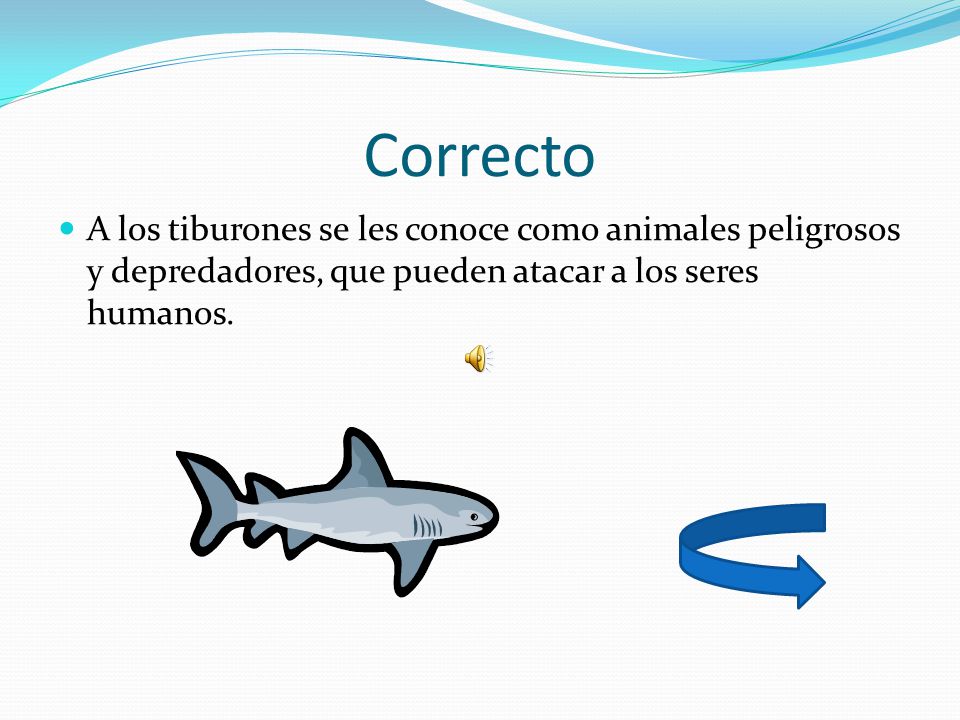 Correcto A los tiburones se les conoce como animales peligrosos y depredadores, que pueden atacar a los seres humanos.