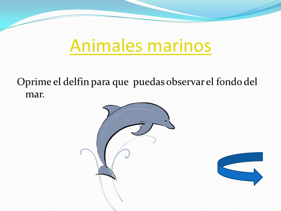 Animales marinos Oprime el delfin para que puedas observar el fondo del mar.