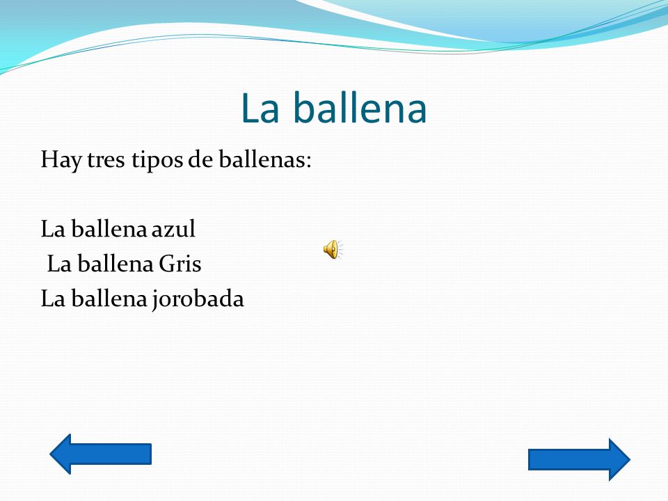 La ballena Hay tres tipos de ballenas: La ballena azul La ballena Gris La ballena jorobada