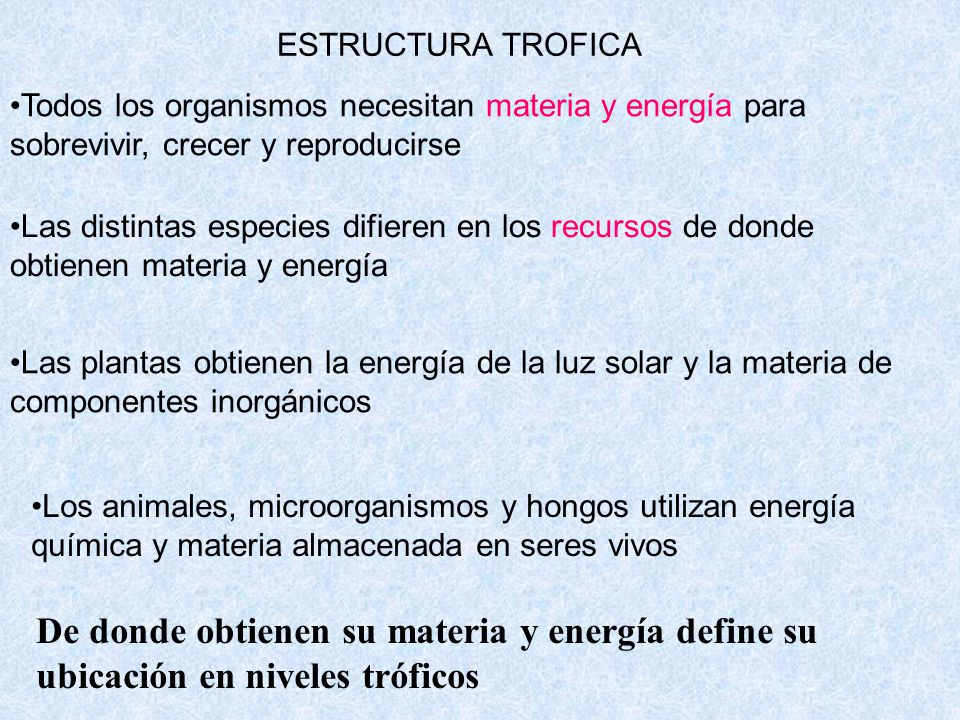 ESTRUCTURA TROFICA Todos los organismos necesitan materia y energía para sobrevivir, crecer y reproducirse.
