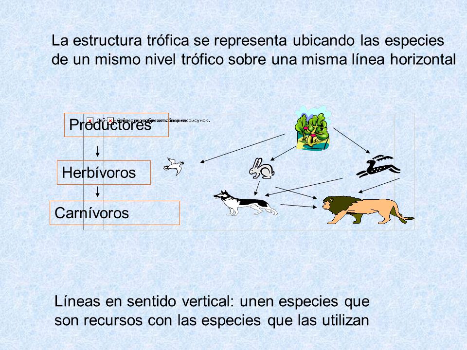 La estructura trófica se representa ubicando las especies de un mismo nivel trófico sobre una misma línea horizontal