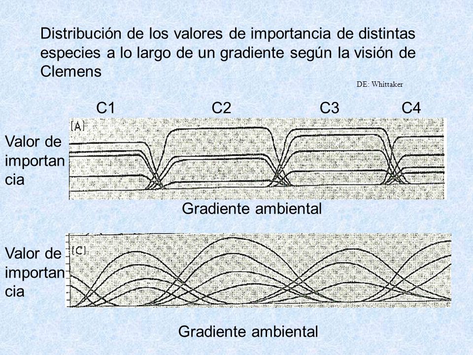 Distribución de los valores de importancia de distintas especies a lo largo de un gradiente según la visión de Clemens