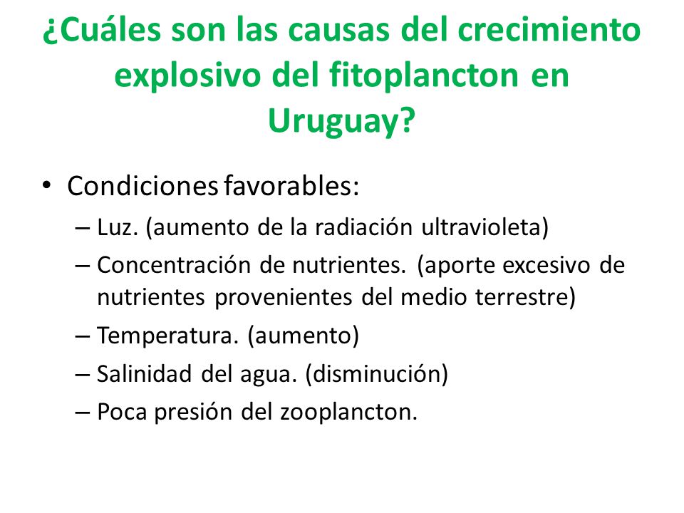¿Cuáles son las causas del crecimiento explosivo del fitoplancton en Uruguay