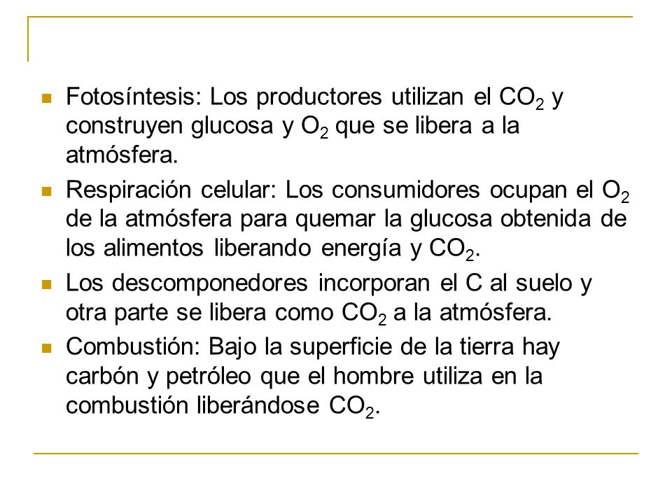 Fotosíntesis: Los productores utilizan el CO2 y construyen glucosa y O2 que se libera a la atmósfera.