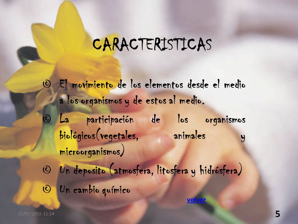 CARACTERISTICAS El movimiento de los elementos desde el medio a los organismos y de estos al medio.